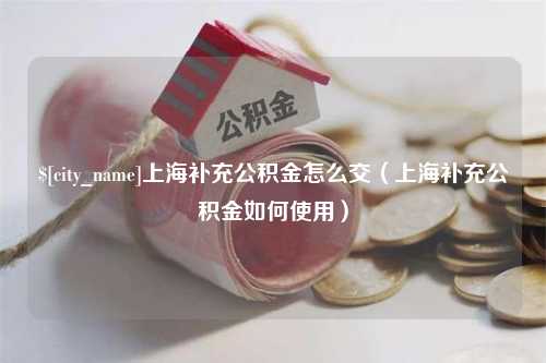 忻州上海补充公积金怎么交（上海补充公积金如何使用）